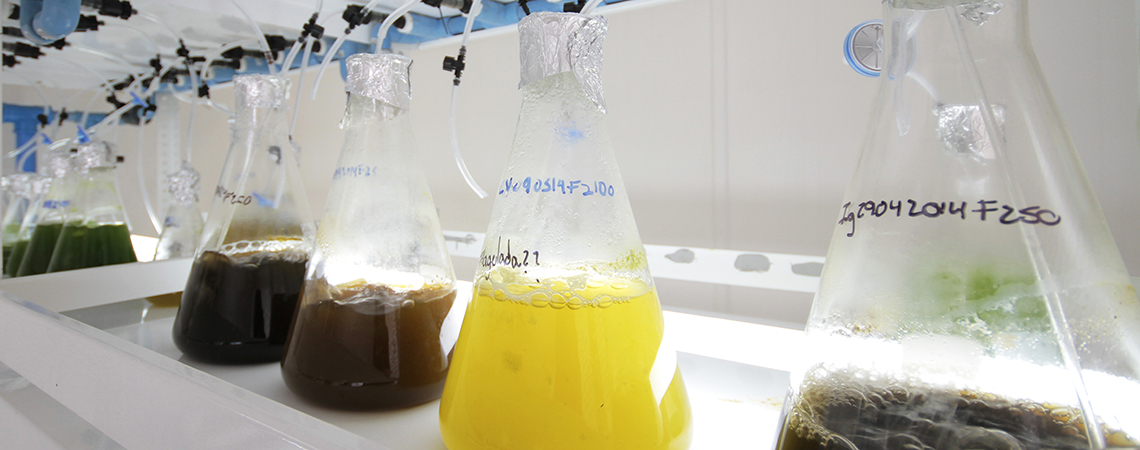 tecnología e ingenieria, investigación y desarrollo. Del laboratorio al prototipo industrial