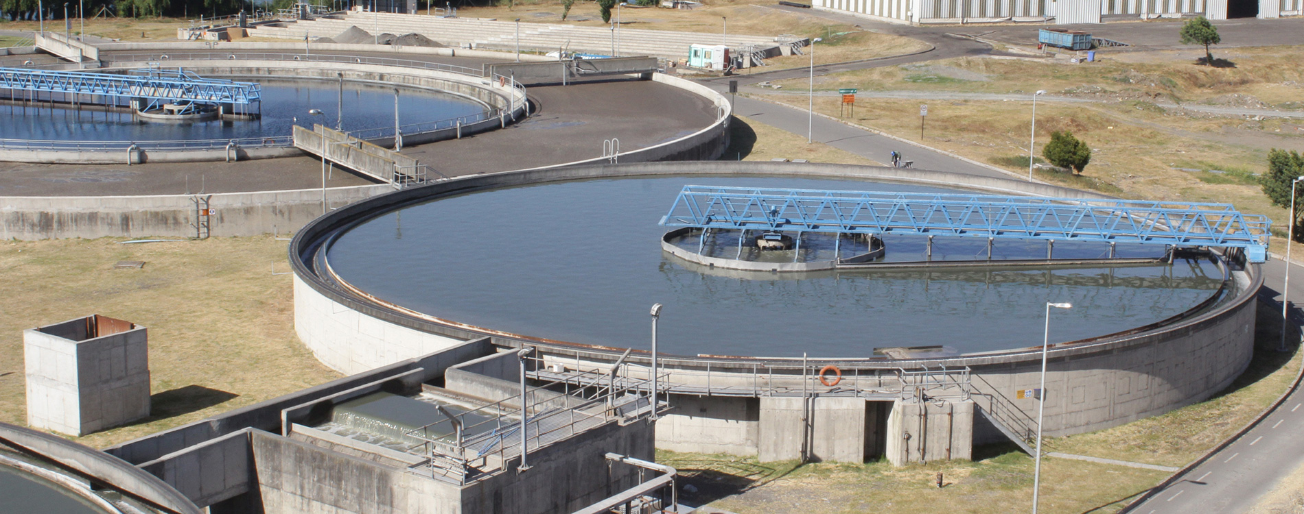 eficiencia en procesos, biotecnologia, bioprocesos